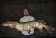 9-килограммовую щуку выловили в Москве-реке