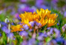 До +27 градусов и без осадков: погода в Алматы