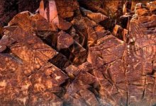 Петроглифы Таңбалы представят в Нацмузее имени А. Кастеева в Алматы