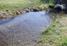 Жители пяти областей и города Шымкента поддержали республиканскую экоакцию "Мөлдір бұлақ"