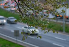 До +27 градусов: в Алматы установится солнечная погода