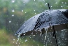 После 30-градусной жары Шымкент накроют дожди и грозы