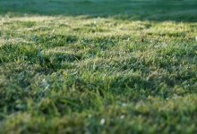 Казахстан вошел в топ-6 стран мира по сельхозугодьям