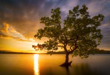 В пятницу часть Казахстана накроют дожди с грозами