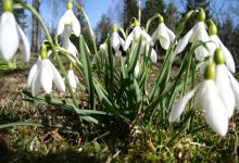 Ботанический сад Алматы объявил о временном закрытии