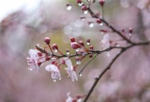 Солнечную погоду сменят сильные дожди в Казахстане