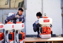 Как будут бороться с комарами и мошками в Астане (ВИДЕО)