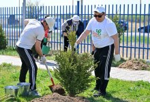 Добрая традиция