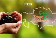 Весна – время озеленять