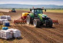 Один день дорогого стоит