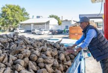 Сладость труда