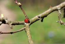 Туманы, грозы и высокая пожарная опасность ожидаются в Казахстане