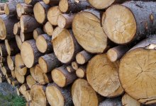 Деревообрабатывающий завод построят в Северо-Казахстанской области