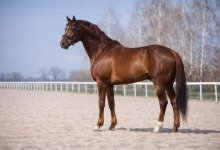 Патрон ломает стереотипы