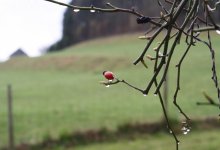 Жара сменится дождями и грозами в Алматы