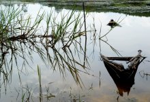Тело автомастера обнаружили в водоеме Акмолинской области