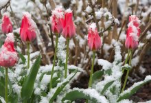 Дожди с грозами и снег обрушатся на Казахстан