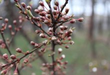 Дождь и усиление ветра: синоптики предупредили о непогоде в Астане