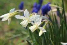 Переменная облачность и контраст температур ожидаются Шымкенте