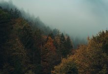 Туристка заблудилась в горах Алматы и просила о помощи