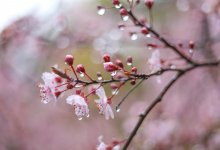 Холодный атмосферный фронт принесет дожди и грозы в Алматы