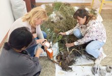 Безопасные и полезные отходы – в миллиардные доходы