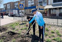 Чем дышит город