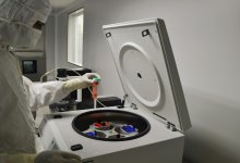 В США задумали выращивать человеческих клонов без мозга