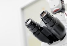 День науки: какие результаты уже демонстрирует казахстанская наука