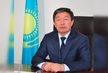 Безопасность общества должна стоять на первом месте: в Казахстане обсуждают закон об ответственном содержании животных