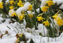 Дождь, снег, ночные заморозки, ветер: погодные качели ждут Казахстан