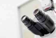 Национальная академия наук получит статус субъекта квазигосударственного сектора