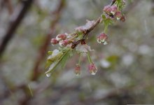 Дождь с переходом в снег, гололед: погода в Астане 16 апреля