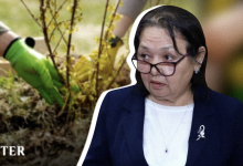 Цифровой учет вместо "слепого" озеленения: как в Мангистау пытаются спасти города от засушливого климата