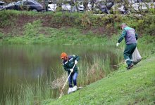 Прибрежные зоны рек очистили в Алматы