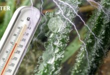 Прохладная и дождливая погода сохранится в Казахстане