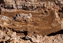 Карагандинские спасатели вытащили двух девочек из грязевой ловушки (ВИДЕО)