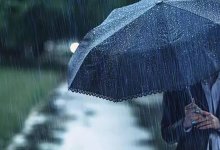 Погодные качели: дожди и грозы ожидаются в Шымкенте