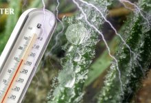 Дожди и грозы: жителей Астаны предупредили о непогоде