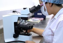 Казахстан заинтересован в поставках вакцины в Монголию