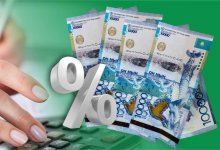 Почему женщины-ИП в Казахстане не могут получить декретные выплаты – ответ Минфина