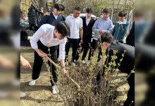 Сирень на память