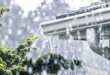 Дожди, грозы и порывистый ветер ожидаются в Казахстане