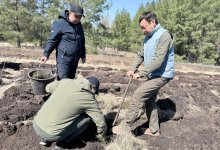 Акция "Таза бейсенбі" формирует новое отношение к природе