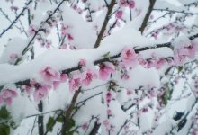 Дождь, снег, град и шквал обрушатся на Казахстан