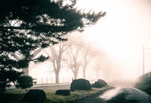 Туман и пыльная буря ожидаются в Казахстане 25 апреля