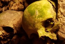 Человеческие останки нашли на стройке в ВКО