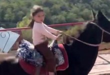 Четырехлетняя казахстанка верхом на коне стала звездой соцсетей