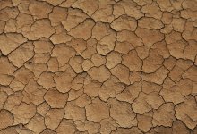 Синоптики представили прогноз засухи в Казахстане на май