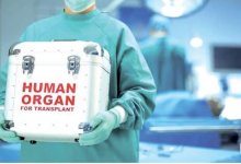 Очередь за жизнью